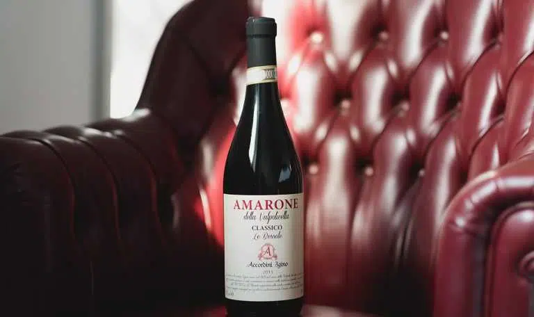 Alla scoperta dell'Amarone della Valpolicella 3 vino poltrona