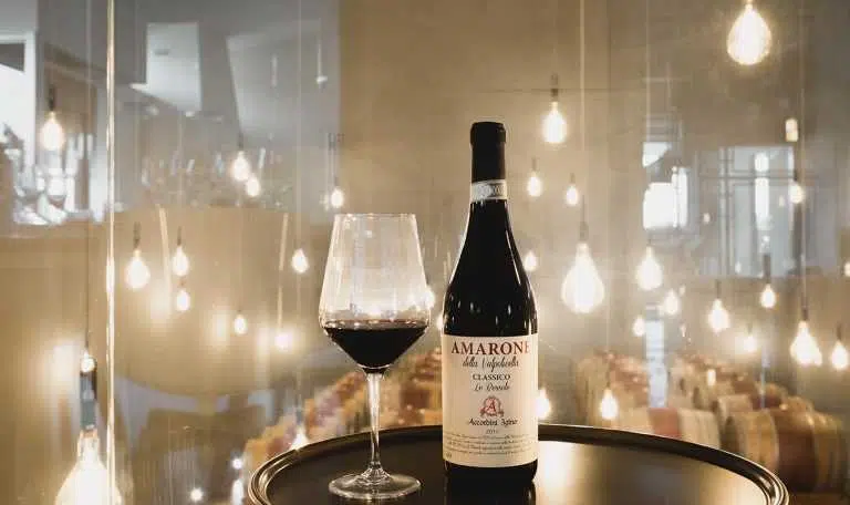 Alla scoperta dell'Amarone della Valpolicella 2 vino botte