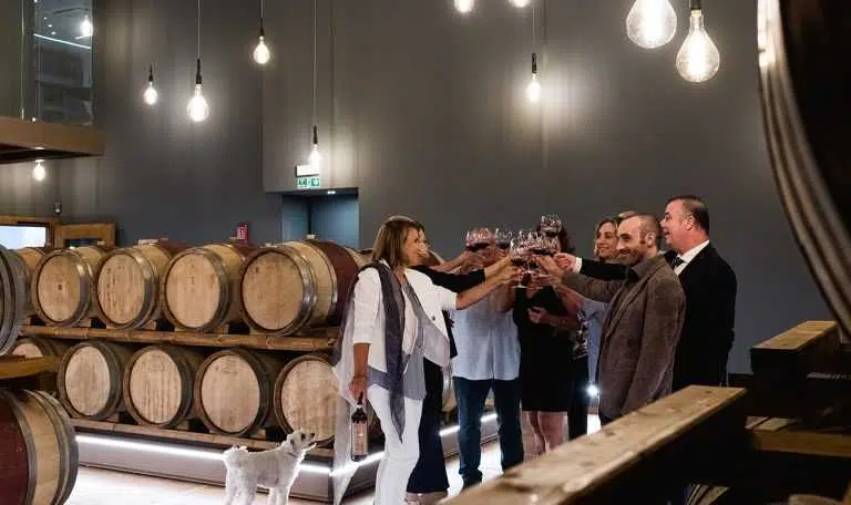 Alla scoperta dell'Amarone della Valpolicella 1 persone vino