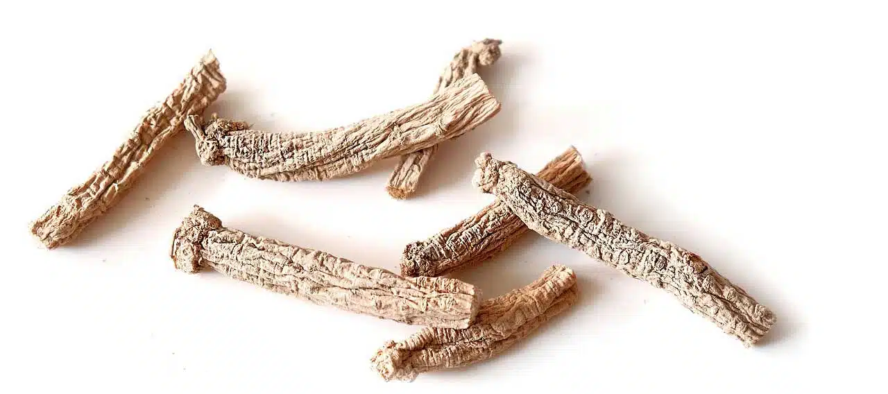curiosita-ginseng-e-come-consumarlo curiosita-ginseng-e-come-consumarlo