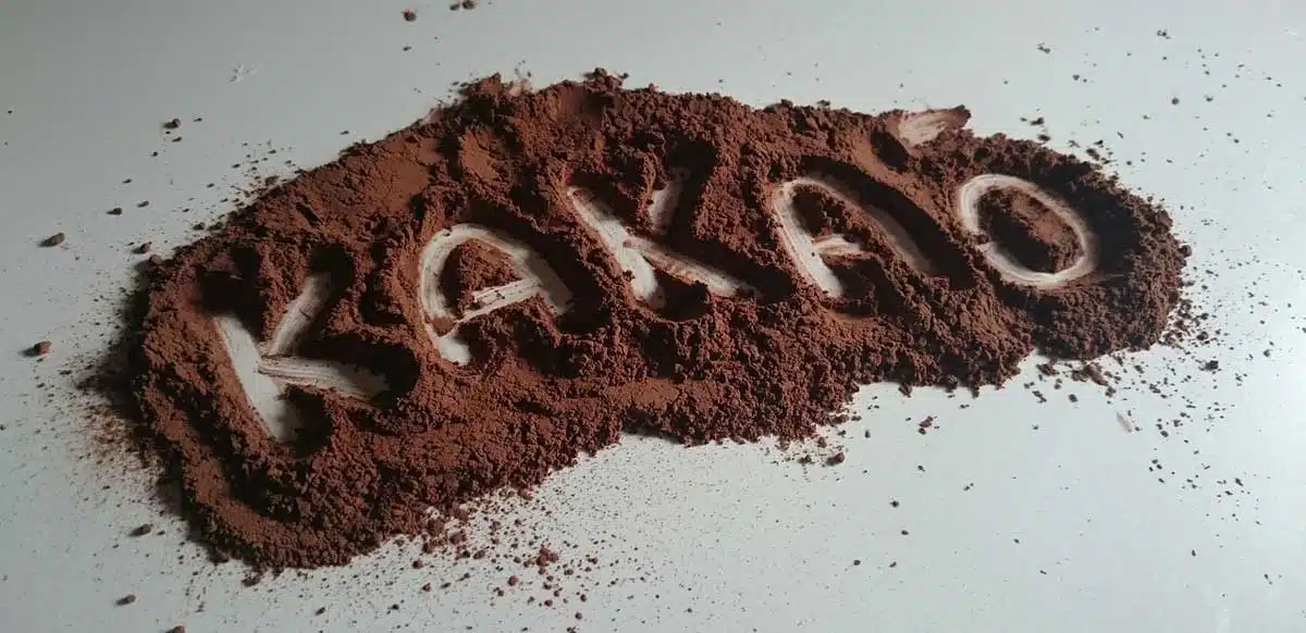 Polvere di cacao Polvere di cacao